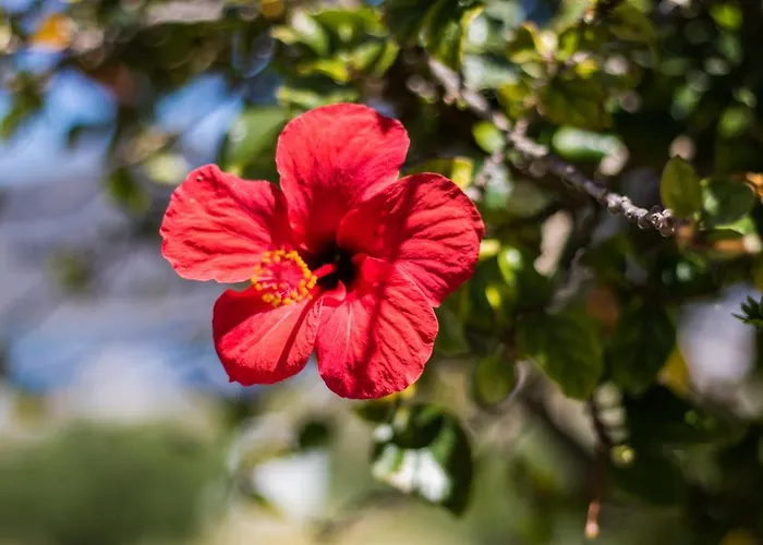 Salla Chiotis Karpathos